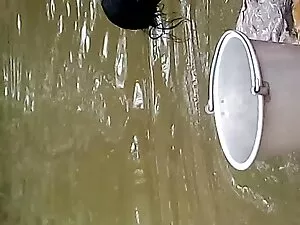 जंगली अंतरजातीय लेस् ...