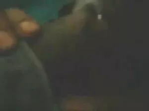 बेब श्यामला कट्टर बी ...