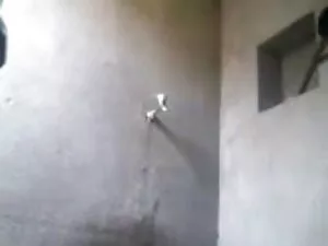 नृत्य अनुष्ठान सेक्स ...