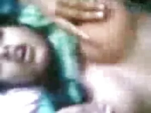 बंधुआ एशियाई ब्लू फि ...