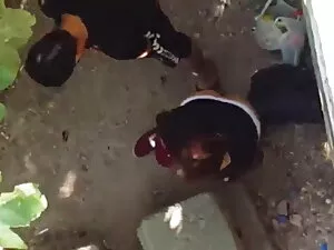 स्कीनी दादी गौ चालक  ...
