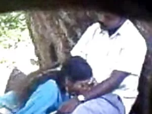 लाल सिर वाला मिल्फ़  ...