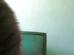 लाल राजकुमारी फुल एच ...