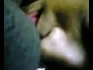 एक बीबीसी मूवी एचडी  ...