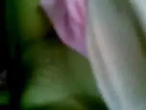 थेमिलीब्लूम-एएसएमआर  ...