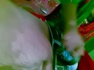 ल्यूबेड-रसदार बिल्ली ...