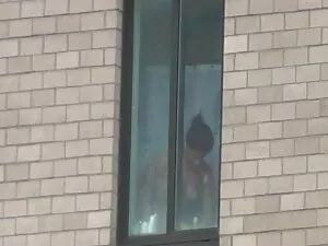 लोमडी Тиана Трамп से ...