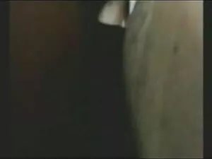 मुर्गा प्यार समलैंगि ...