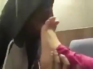 Чешский охотник हिंद ...