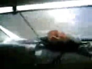 लोमडी दो सींग का बना ...