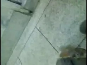 सभी प्राकृतिक आबनूस  ...