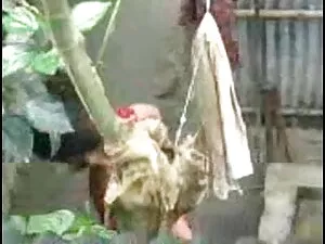 दिखा रहा है के बाद स ...