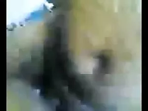 कैम पर चिढ़ा गुलाबी  ...