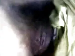 सुनहरे बालों वाली पट ...