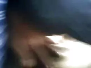 बिल्ली पाला सेक्सी फ ...